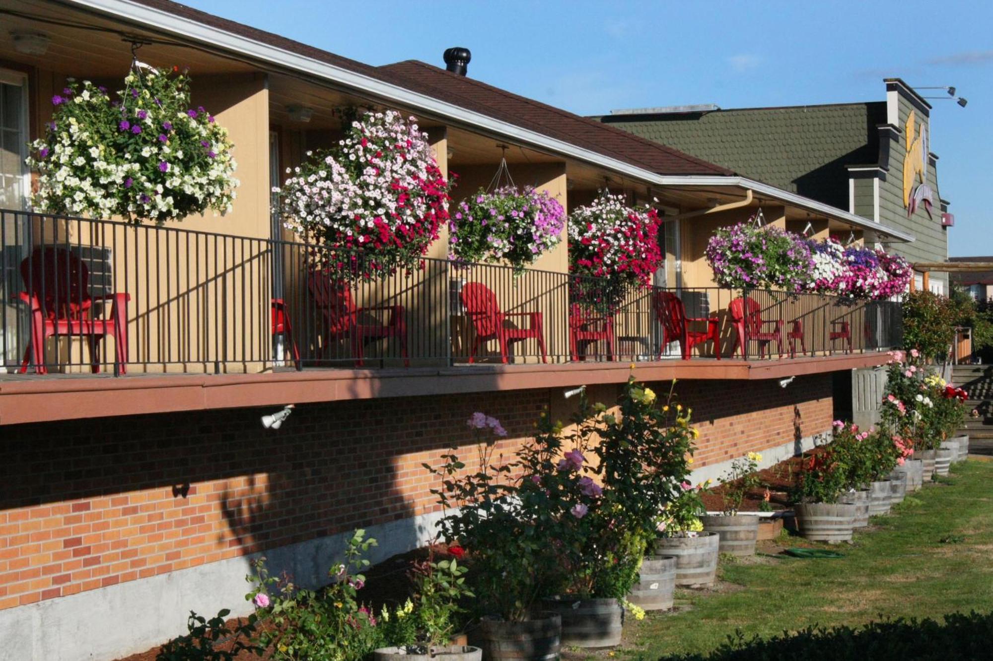 Relax Inn Chehalis Exterior photo